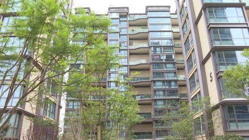 楚雄市出臺 十二條措施 促進房地產(chǎn)市場平穩(wěn)健康發(fā)展