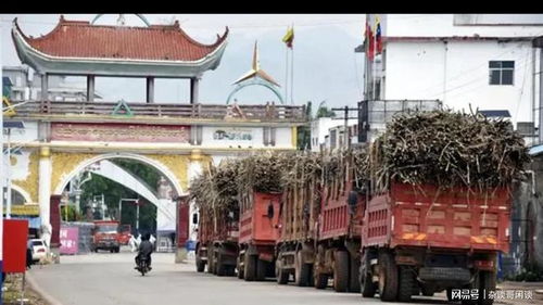 果敢上萬噸甘蔗進入云南 圣母心網(wǎng)友 可幫建工廠,促進當(dāng)?shù)匕l(fā)展