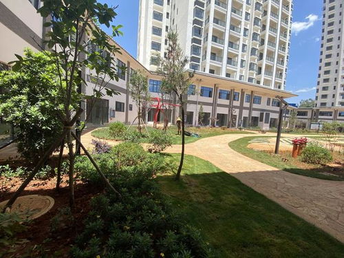 全款17萬起，云南5A級景區(qū)旅居房產(chǎn)帶回家